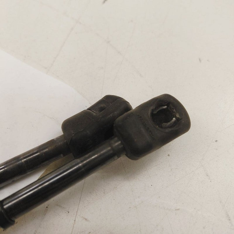 Chrysler 300 Hood Strut Shock Support  2017 2018 2019