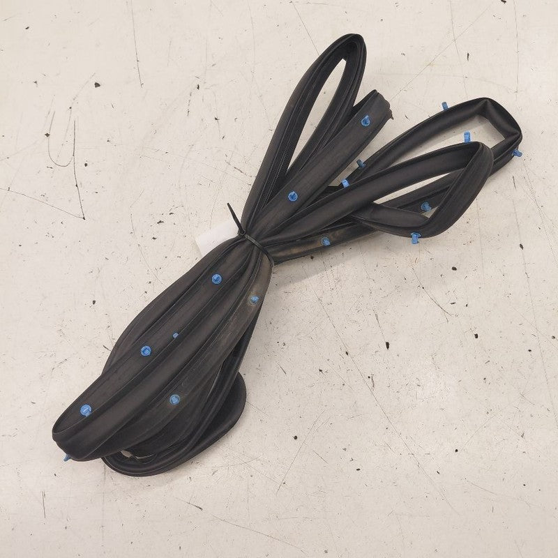 Chevy Trax On Door Seal Rubber Right Passenger Front  2022 2021