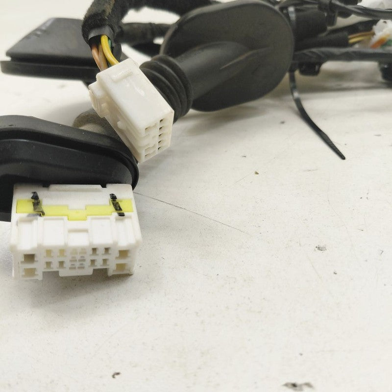 Kia Optima Door Harness Wire Wiring Left Driver Rear  2018 2017 2016 O