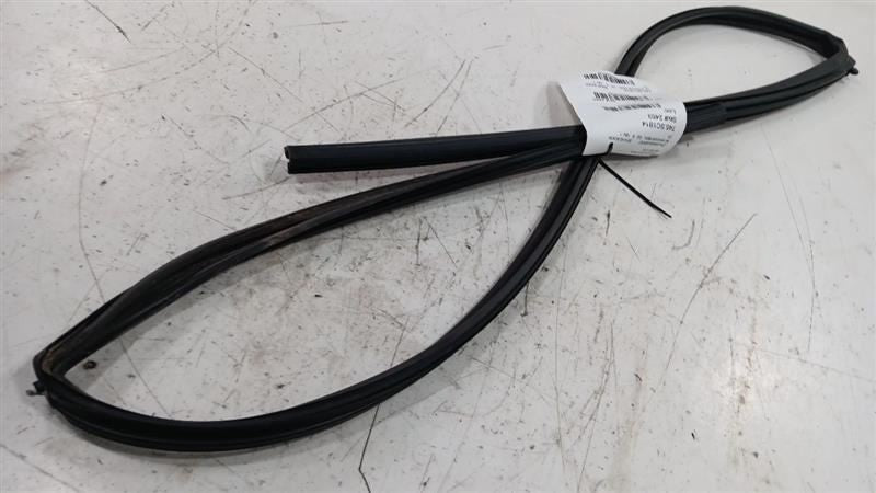 Toyota Scion IQ Door Glass Window Seal Rubber Right Passenger Front  2011 2012 2