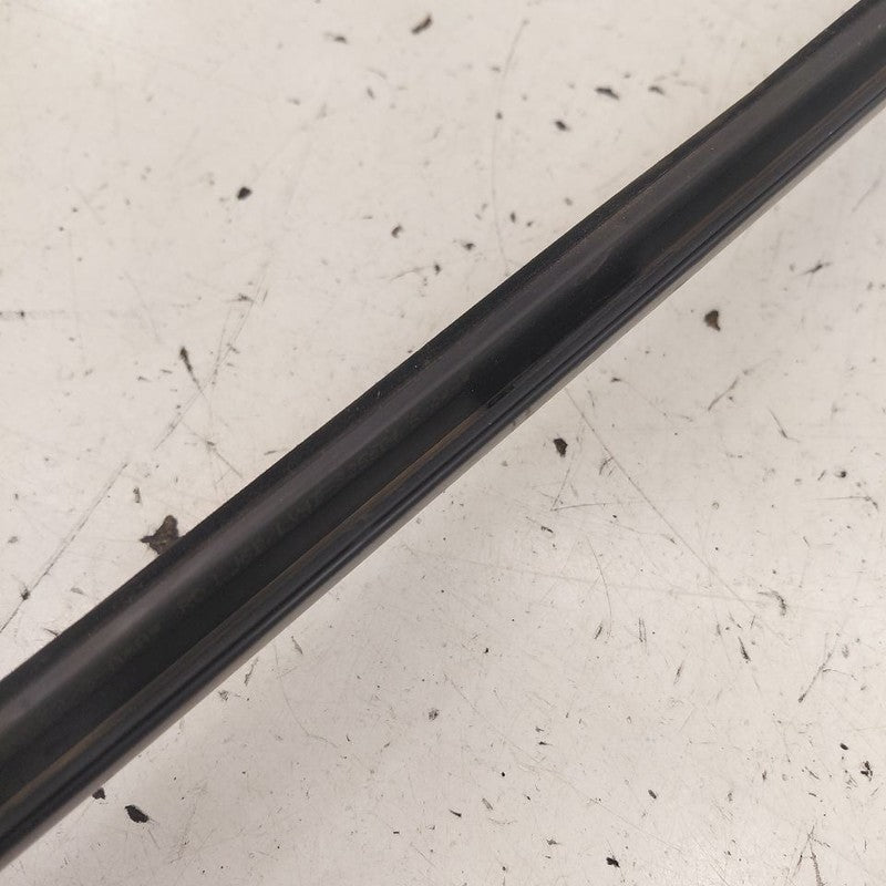 Ford Escape Door Glass Window Weather Strip Trim Rear Right Passenger 