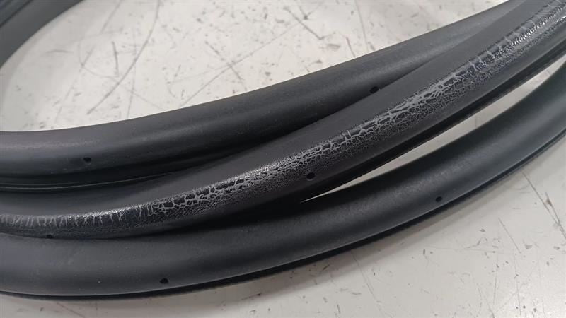 Infiniti G37 On Body Door Jamb Seal Front Right Passenger  2009 2010 2