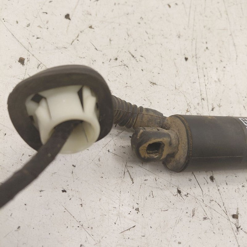 Chevy Equinox Hatchback Hatch Back Trunk Lid Shock Strut Support  2024