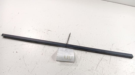 Honda Insight Door Glass Window Weather Strip Trim Front Right Passeng