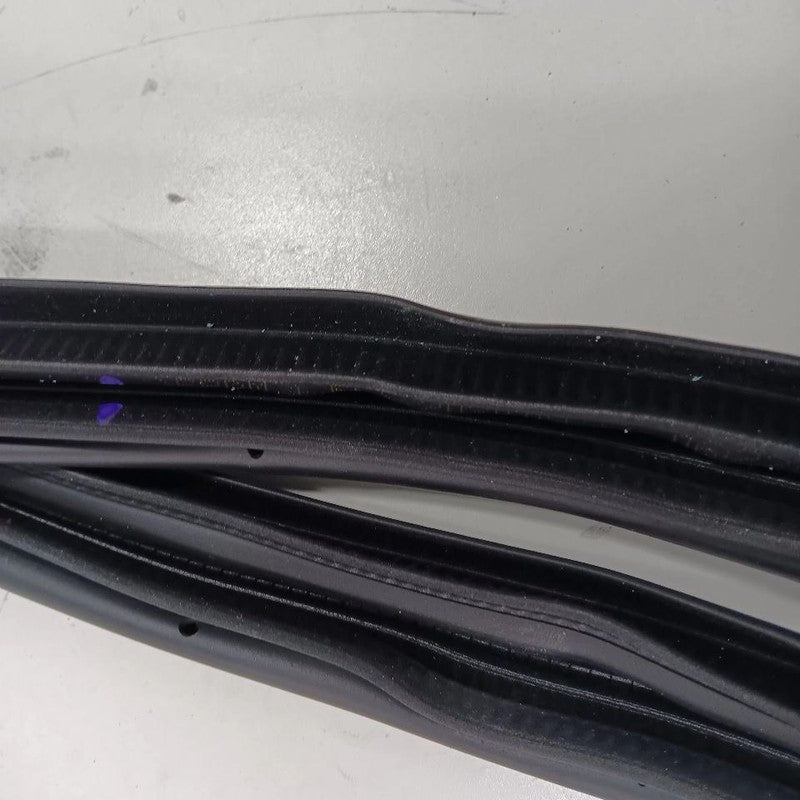 Nissan Versa On Body Door Jamb Seal Rear Left Back  2023 2022 2021 2020