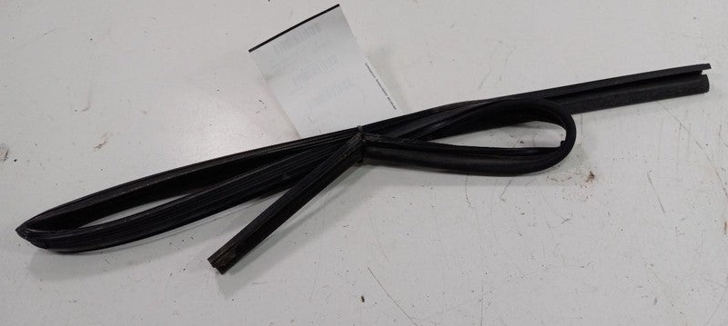 Kia Forte Door Glass Window Seal Rubber Right Passenger Rear Back 2010