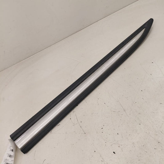 Mitsubishi Outlander   Door Molding Trim Strip Left Driver Front  2018