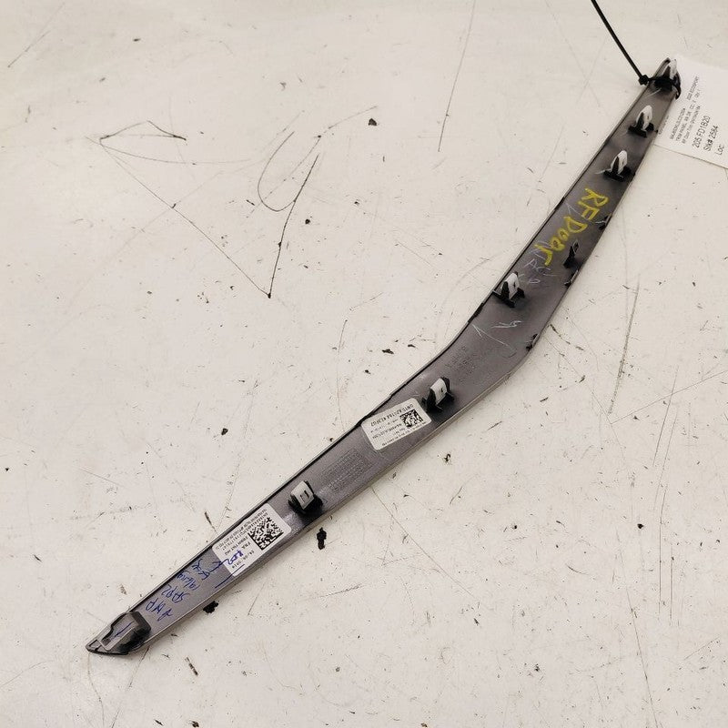 Ford Ecosport Passenger Right Front Door Trim {GN15A24184} 2020 2021 2