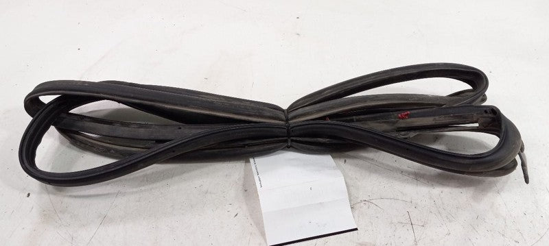 Dodge Journey On Door Seal Rubber Right Passenger Rear Back 2011 2012 