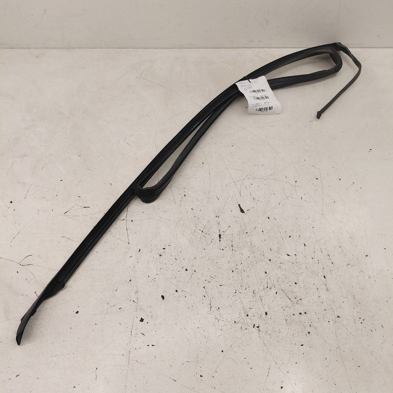 Cadillac CT6 Door Glass Window Seal Rubber Right Passenger Front  2018