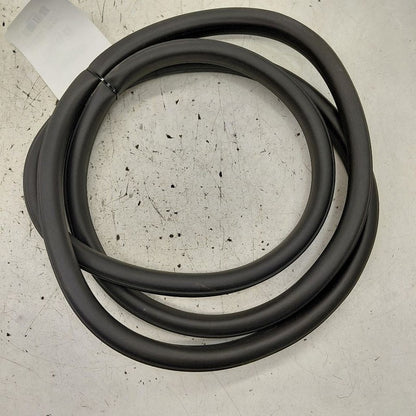 Cadillac CT6 On Body Door Jamb Seal Rear Left Driver Back  2018 2017 2