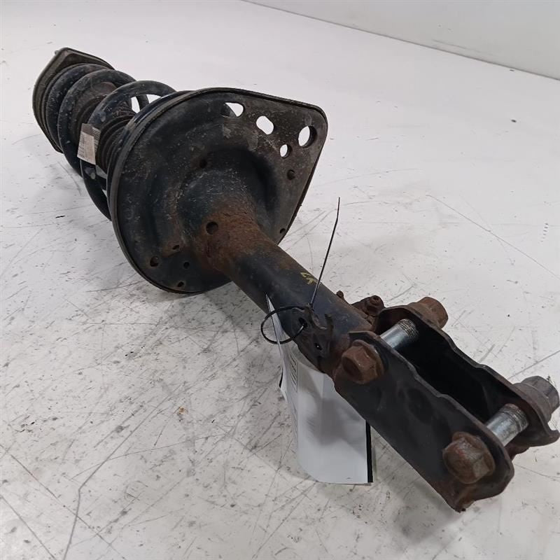 Left Strut Rear VIN D 5th Digit 4 Cylinder Hybrid Fits 12-17 CAMRY