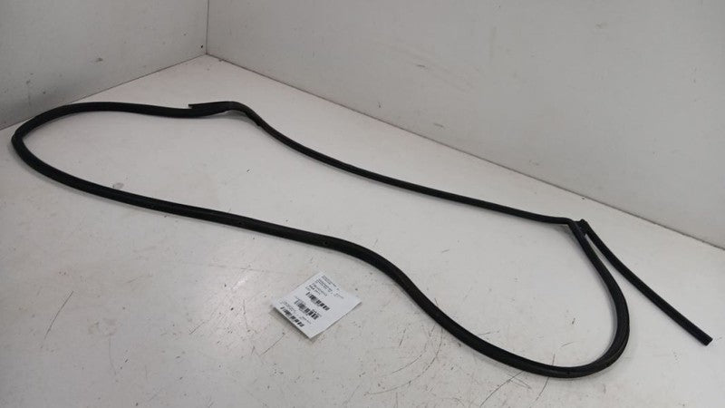 Honda Civic On Door Seal Rubber Left Rear Back 2013 2014 2015 OEM