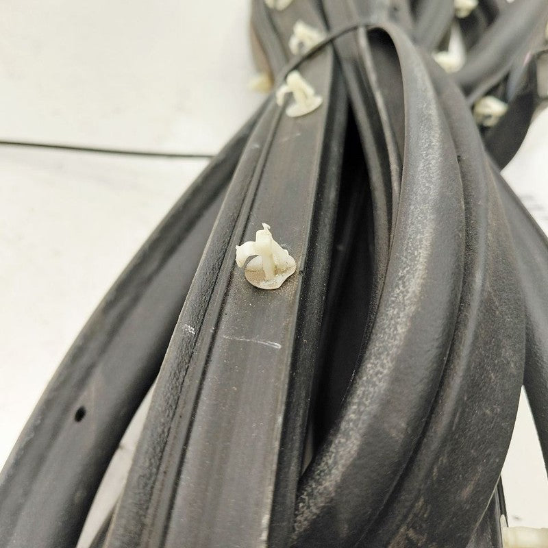 Ford Ecosport On Door Seal Rubber Right Passenger Front  2020 2021 202