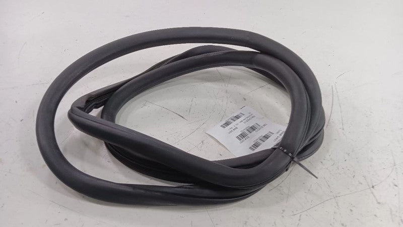 Dodge Dart On Body Door Jamb Seal Rear Left Back  2013 2014 2015 2016