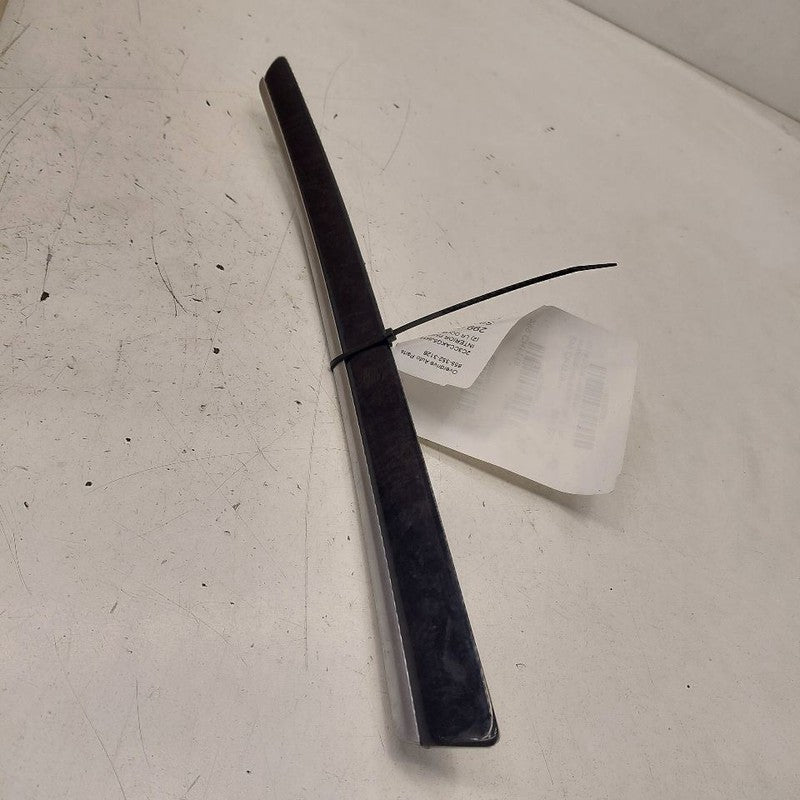 Chrysler 300 Left Rear Door Trim Bezel 2017 2018 2019
