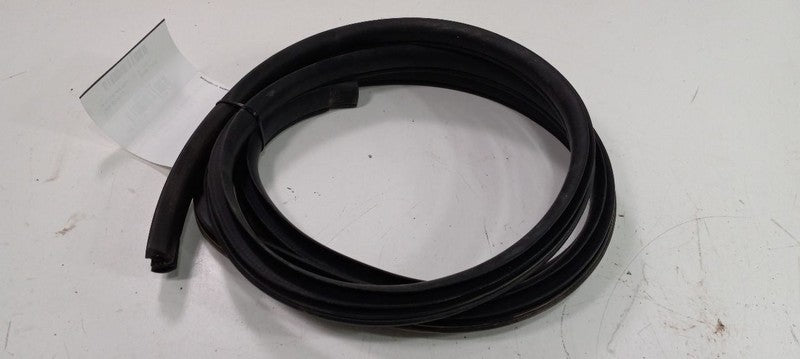 Kia Forte On Body Door Jamb Seal Rear Left Back 2010 2011 2012 2013