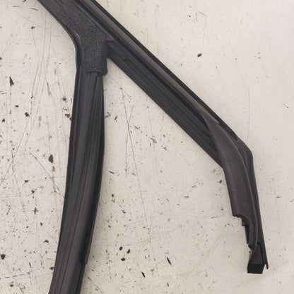 Buick Encore GX Door Glass Window Seal Rubber Left Driver Front  2022 