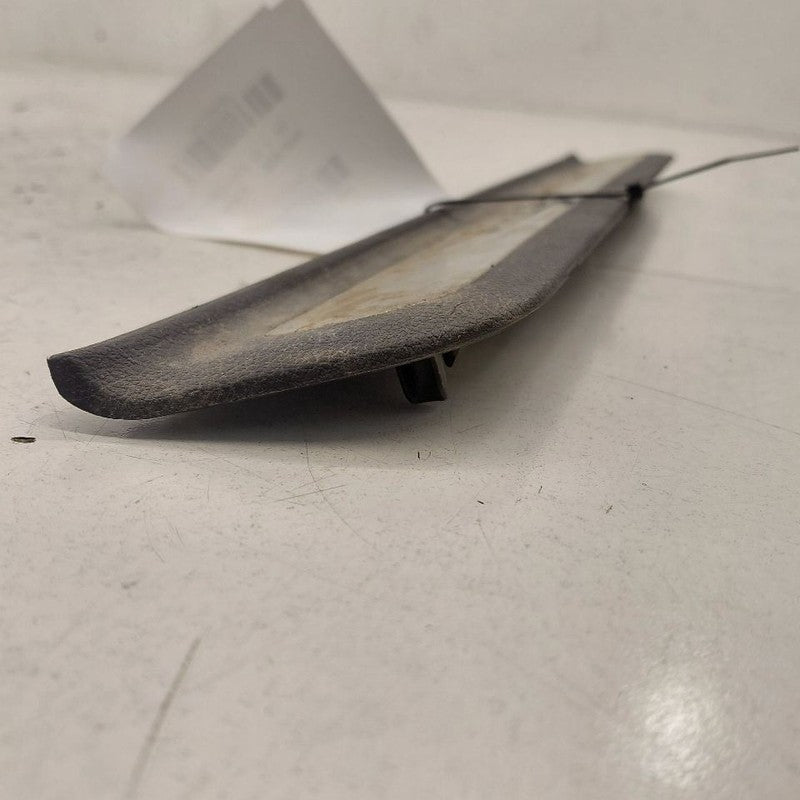 Hyundai Santa Fe Sill Trim Plate Door Jam Threshold Left Driver Front 