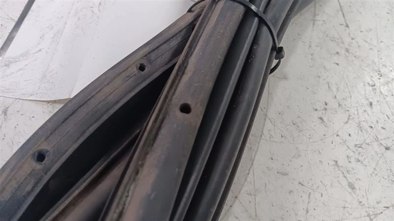 Dodge Dart On Door Seal Rubber Left Rear Back  2013 2014 2015 2016 OEM