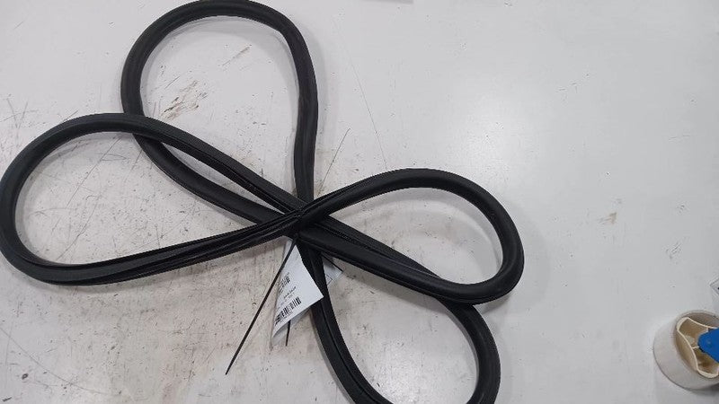 Buick Encore On Body Door Jamb Seal Front Right Passenger  2013 2014 2015 2016