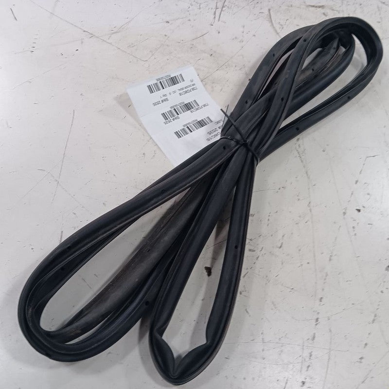 Ford Escape On Door Seal Rubber Right Passenger Rear Back  2019 2018 2