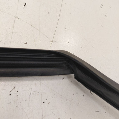 Chevy Volt Door Glass Window Seal Rubber Left Driver Front  2019 2018 