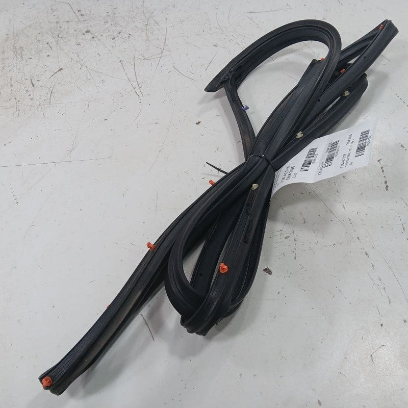 Acura ILX On Door Seal Rubber Left Driver Front  2016 2017 2018 OEM