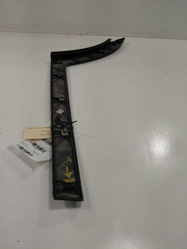 Hyundai Tucson Door Molding Trim Strip Left Driver Side Rear Back 2016