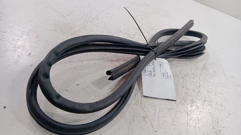 Nissan Maxima On Body Door Jamb Seal Gasket Front Left Driver  2018 2019 2020