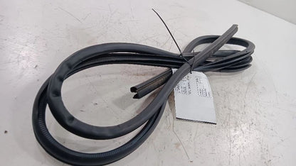 Nissan Maxima On Body Door Jamb Seal Gasket Front Left Driver  2018 2019 2020