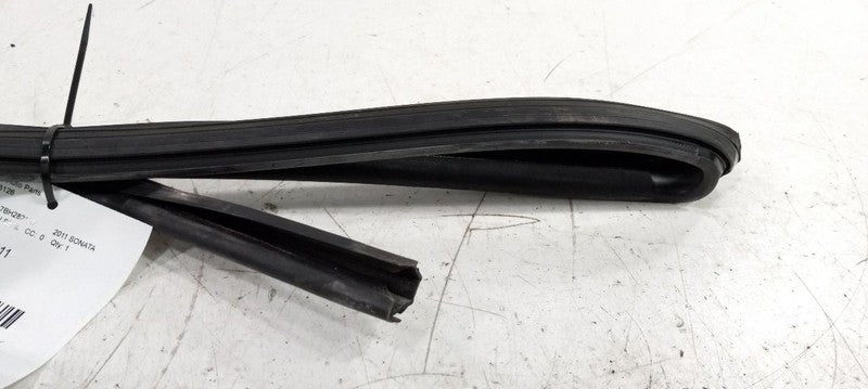 Hyundai Sonata Door Glass Window Seal Rubber Left Rear Back 2011 2012 13