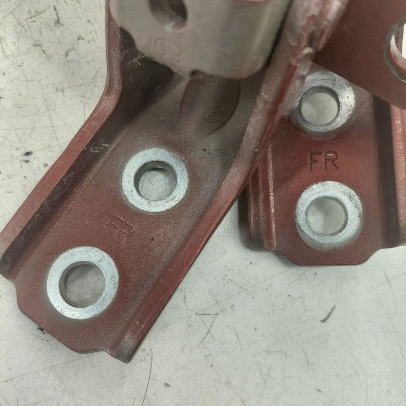 Hyundai Santa Fe Door Hinge Set Left Front Driver  2019 2020