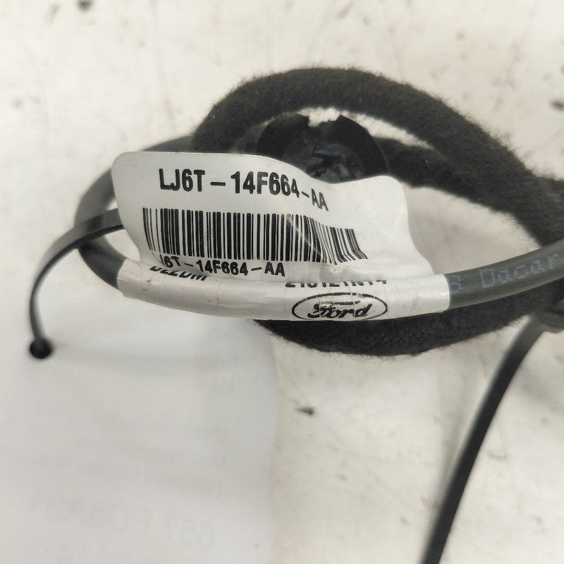 Ford Escape Screen Display Wire {LJ6T14F664AA} 2020 2021 2022