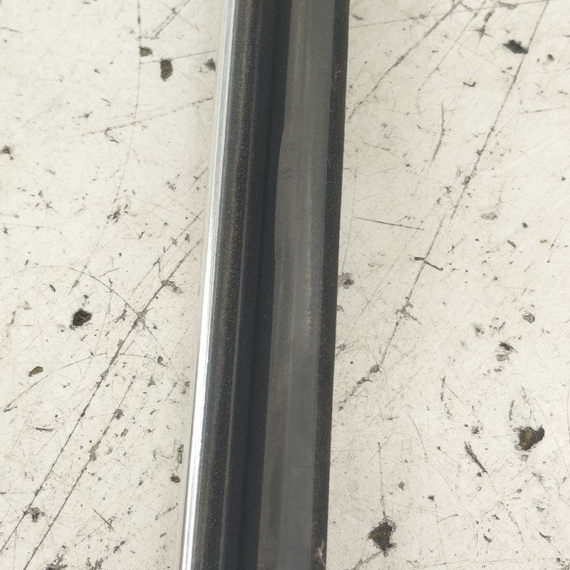 Cadillac CT6 Door Glass Window Weather Strip Trim Rear Left Driver Bac