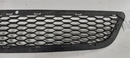Grille Grill Lower Painted Fits 11-20 Dodge Journey OEM