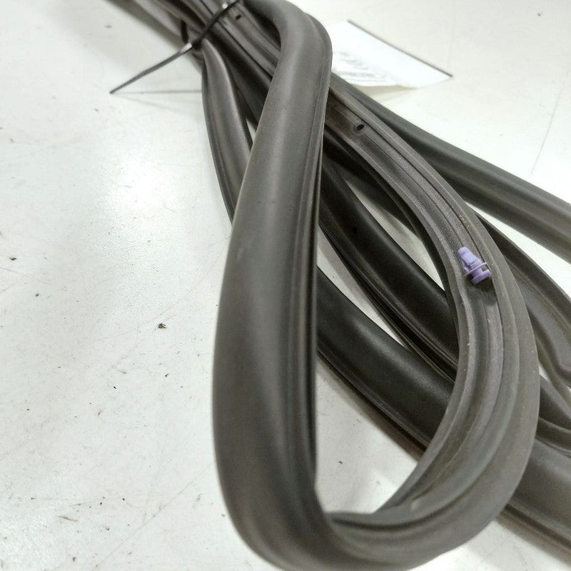 Jeep Compass On Door Seal Rubber Left Driver Front  2025 2024 2023 OEM