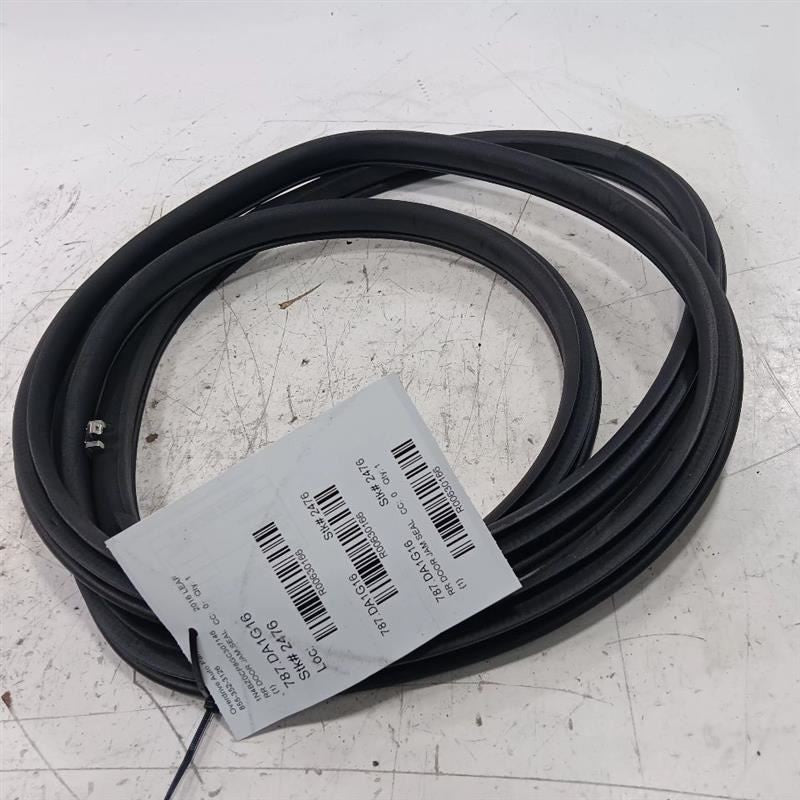 Nissan LEAF On Body Door Jamb Seal Rear Right Passenger Back  2013 2014 2015 201