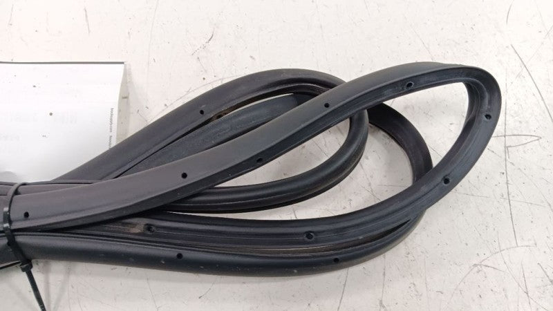 Kia Forte On Door Seal Rubber Right Passenger Front 2016 2015 2014 OEM