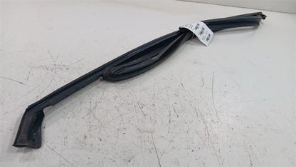 Dodge Dart Door Glass Window Seal Rubber Left Driver Front  2013 2014 2015 2016