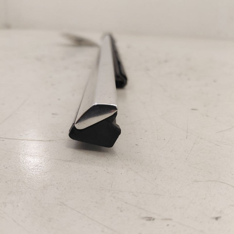 Cadillac CT6 Door Glass Window Weather Strip Trim Rear Left Driver Bac
