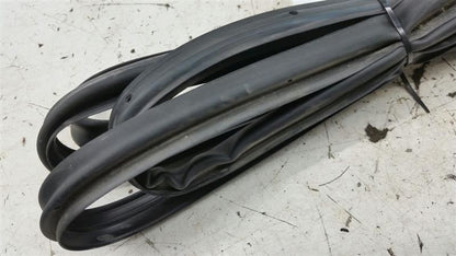 Chevy Cruze On Door Seal Rubber Gasket Right Passenger Rear Back 2016 2017 2018