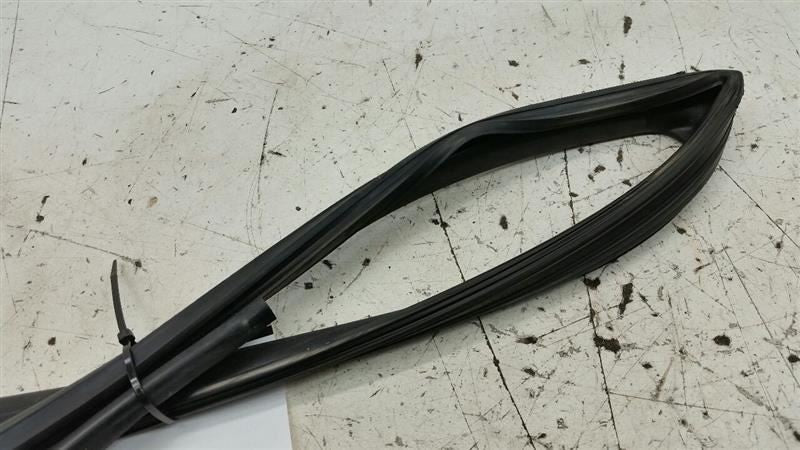 Hyundai Sonata Door Glass Window Seal Rubber Gasket Left Rear Back 2012 2013