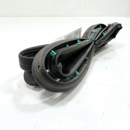 Ford Edge On Door Seal Rubber Left Driver Rear Back  2019 2020 2021 20