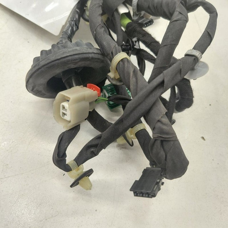 Cadillac CT6 Door Harness Wire Wiring Left Driver Rear  2018 2017 2016