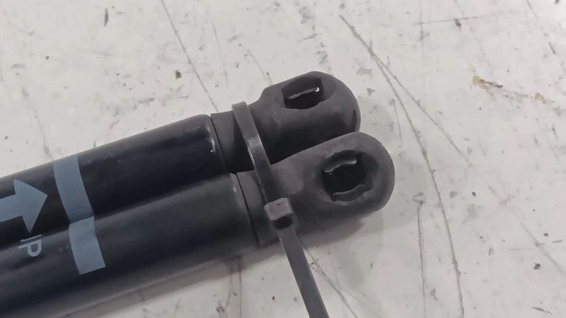 Infiniti G37 Hood Strut Shock Support  2009 2010 2011 2012 2013