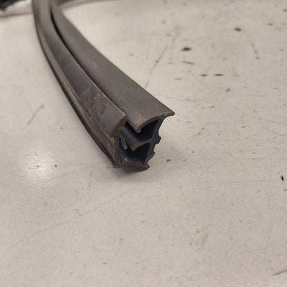 Chevy Volt Door Glass Window Seal Rubber Right Passenger Front  2016 2