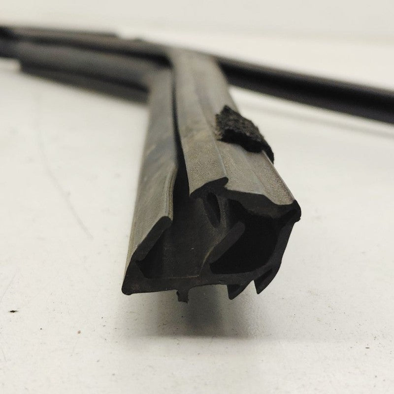 Ford Escape Door Glass Window Seal Rubber Left Driver Rear Back  2022 