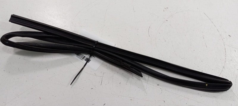 Ford Fiesta Door Glass Window Seal Rubber Right Passenger Rear Back 20