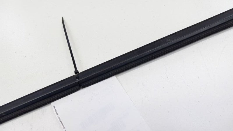 Honda Civic Door Glass Window Weather Strip Trim Rear Left Back 2006 2007 2008